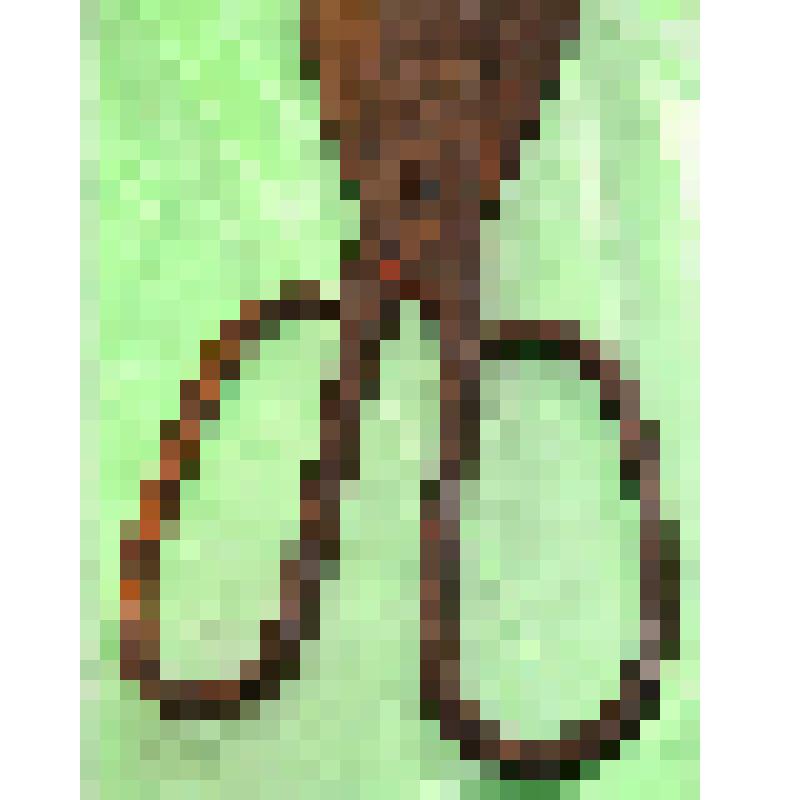 Домашняя хозяйственная утварь из дерева и металла. Ножницы  железные  портновские