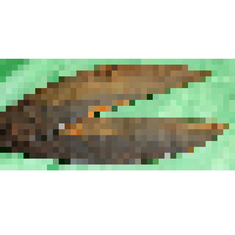 Домашняя хозяйственная утварь из дерева и металла. Ножницы  железные  портновские