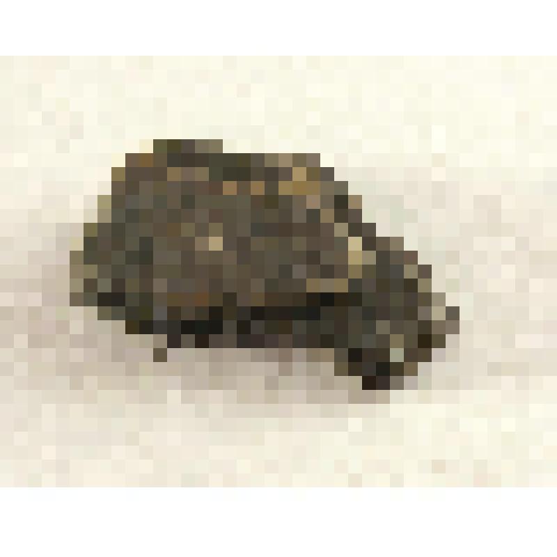 Фрагмент керамики