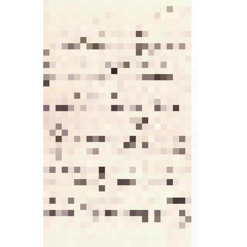 Письмо М.М. Костеловской жене брата Михаила Т.Д. Костеловской