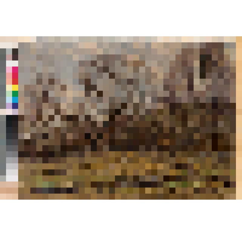 Весенняя природа