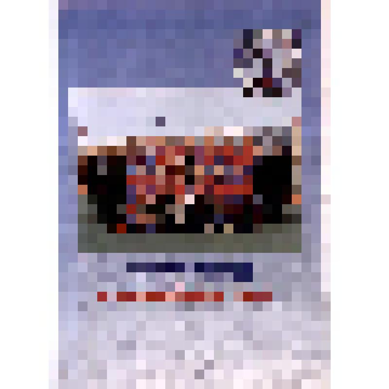 Справочник. Справочник-календарь "Хоккей с мячом. IX чемпионат России. 2000-2001 гг."