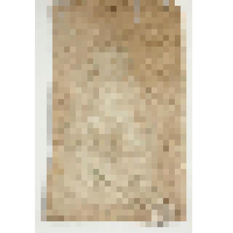 Гуашь. "Эскиз костюма польки на балу к опере "Борис Годунов"