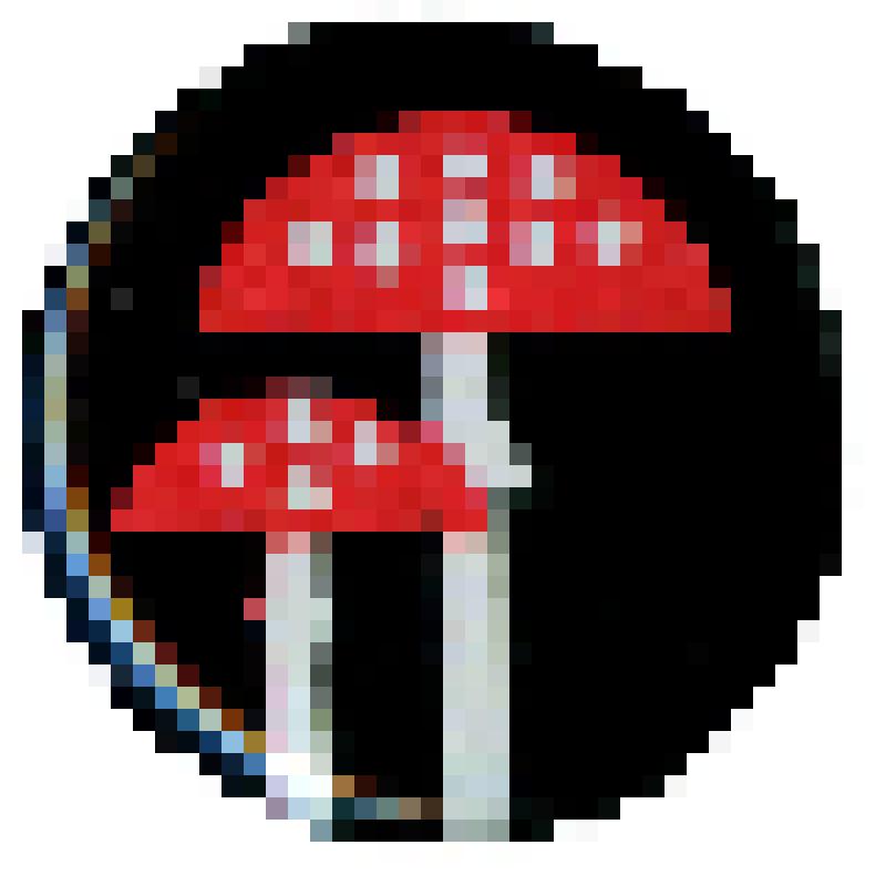 Значок. Детские. Грибы, на иголке. СССР