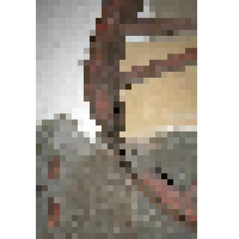 Колесо (заднее)