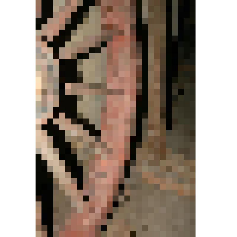 Колесо (заднее)