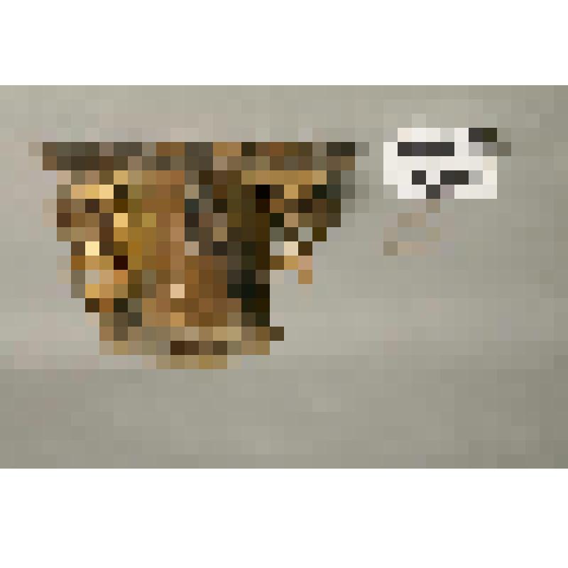 Капитель колонки от иконостаса