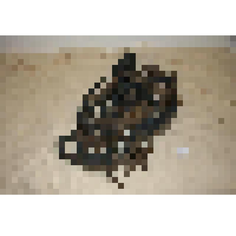 Деталь сбруи: ремни