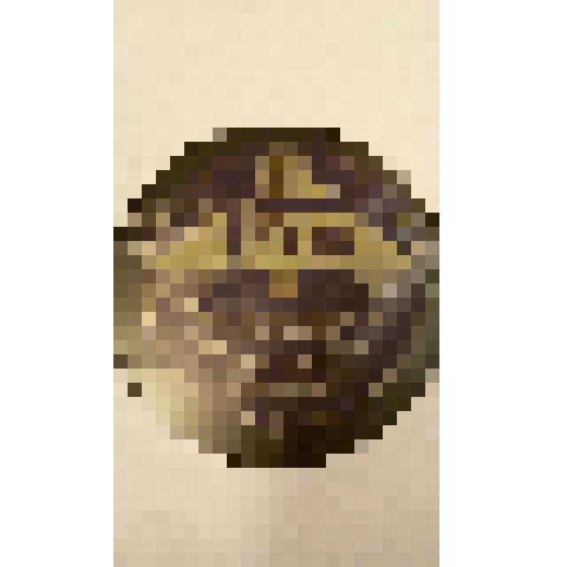 Грампластинка. Пьеса: "Erika". Марш. Исполняет Herms Niel с оркестром. Берлин; Пьеса: "Die Landpartie" ("Weston"). Марш. Исполняет Herms Niel с оркестром. Берлин