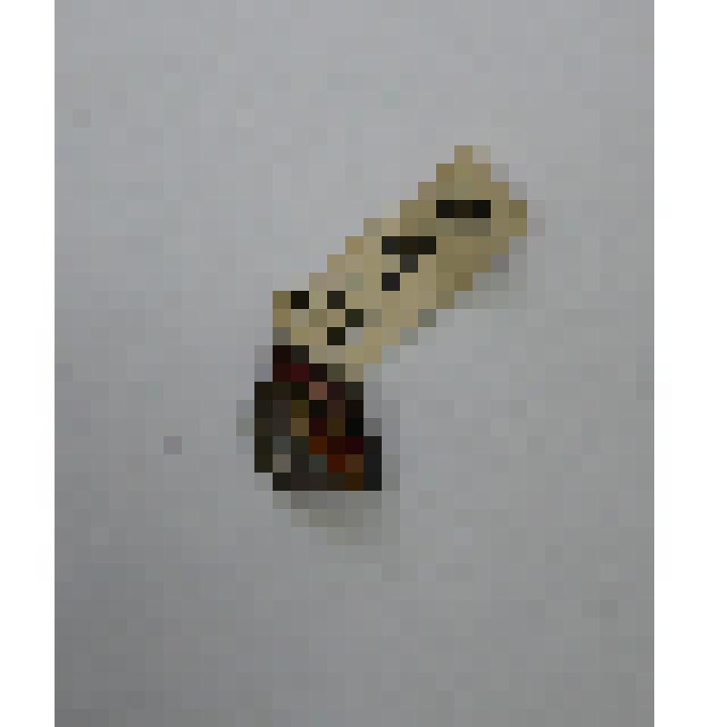 Значок германо-советской дружбы, вручен Дремлюку Д.А., участнику Европейского движения сопротивления в мае 1976г