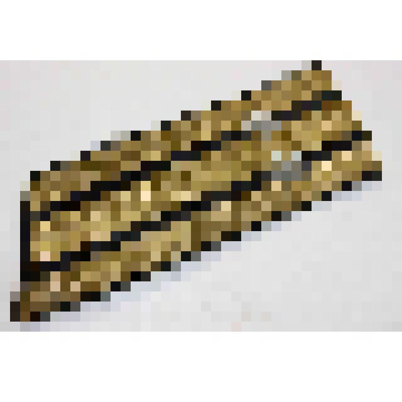 Погон (левый) к парадно-выходному обмундированию капитана 2 ранга ВМФ СССР, из коллекции эмблем родов войск Вооруженных Сил СССР и РФ, форменных пуговиц и погон военнослужащих Советской и Российской армии