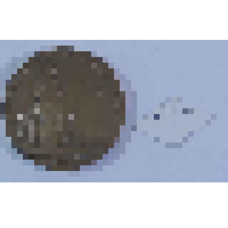 МЕДАЛЬ ПАМЯТНАЯ. ЛЕНИН В РАЗЛИВЕ