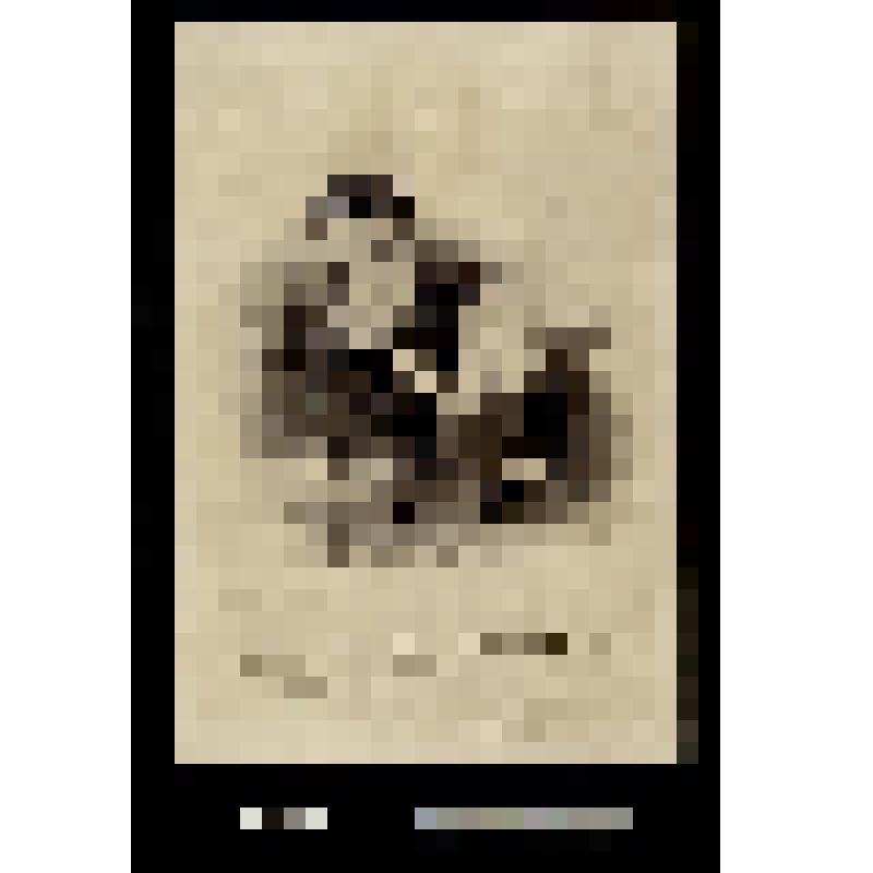 La lecture du journa