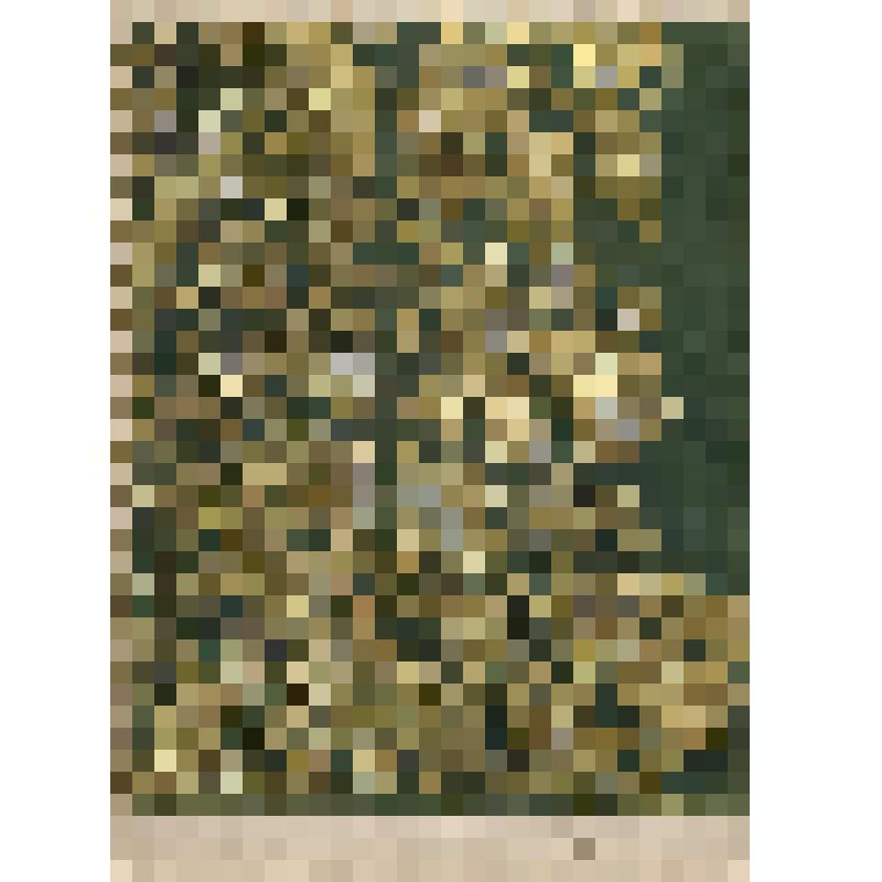 Зарисовка фрагмента фелони. Из альбома "Вышивка Калининской области. Альбом зарисовок и фотографий". Часть 2