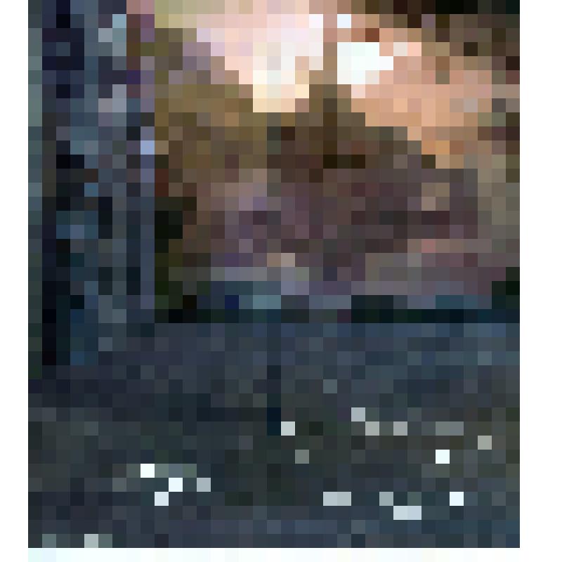 Программа  балета  "Лебединое озеро" Ростовского музыкального театра. Музыка П.И. Чайковского