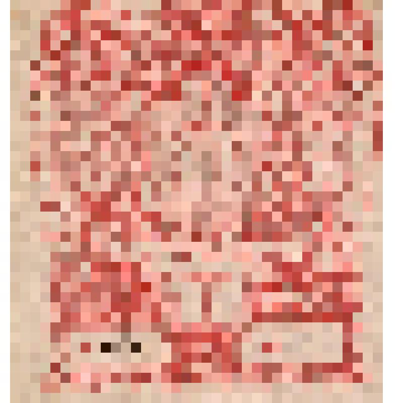 Экслибрис Чеховича, Владимира Климентьевича