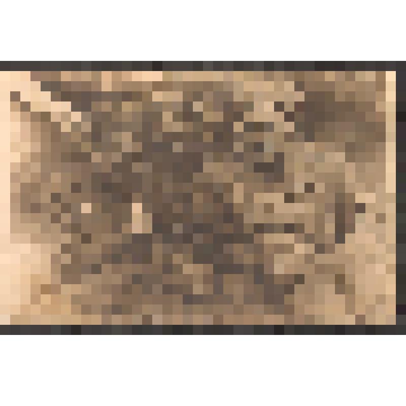 Фотография групповая с Черченко Стефаном Федоровичем