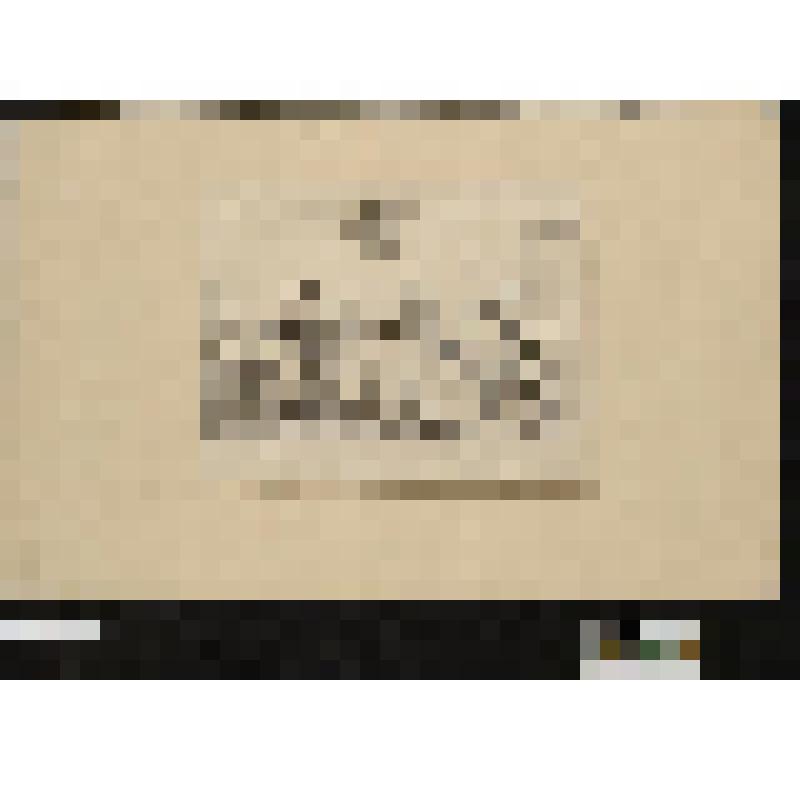 Листы из сюиты воспроизведений выполненных в XIX веке с карикатур XVIII века времени Французской революции "Le jongleur Pitt soutenant avec une loterie l' equilibre de l' Angleterre et les subsides de la coalition"