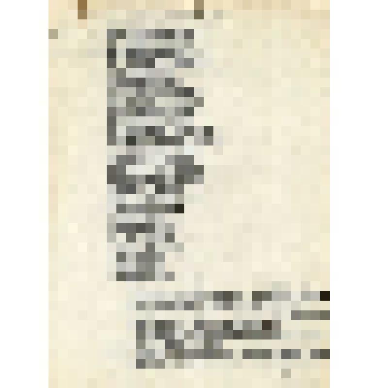 Машинописный текст песни "По над ярушком, ярочком"