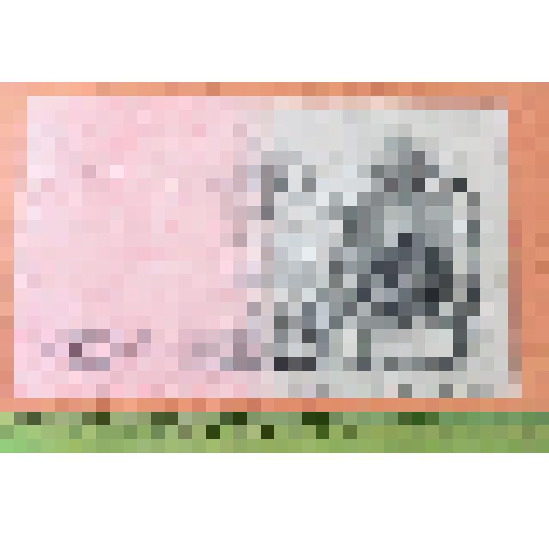 Билет кредитный государственный 25 рублей. ЕР 021507