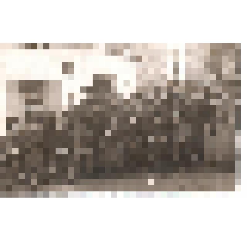 Фотография. Группа работников НКВД на экскурсии в Пятигорске. В музее М.Ю. Лермонтова