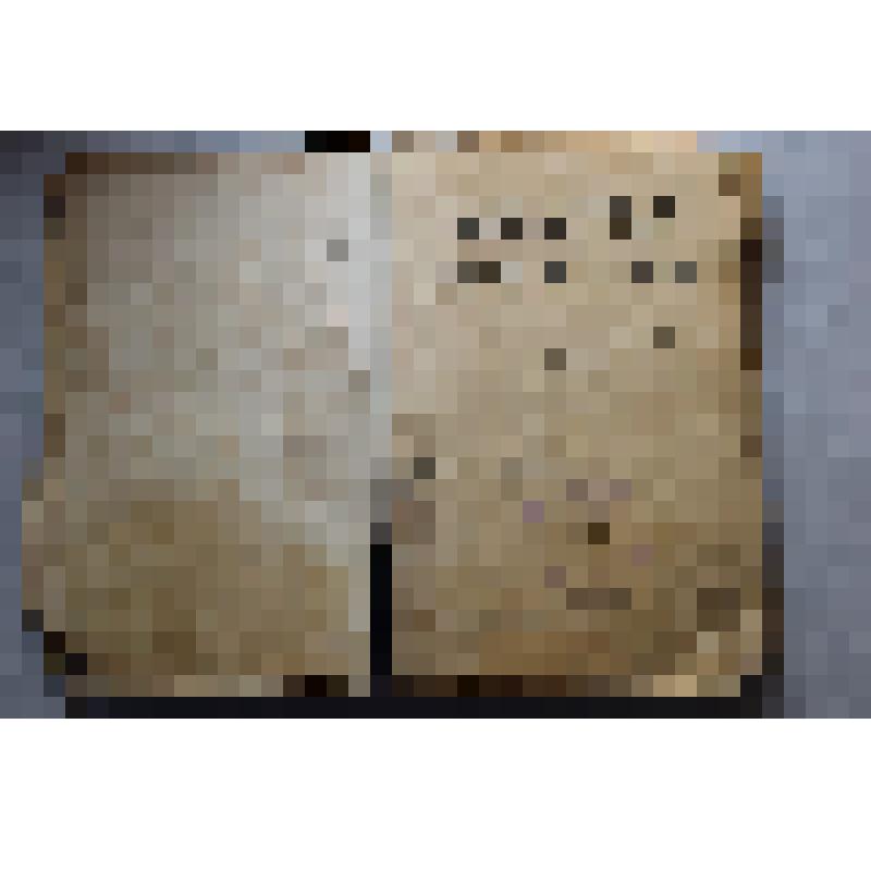 Книга. Лапеллетье Э.. Фаворитка Наполеона. С- Петербург, издательство «Родины»