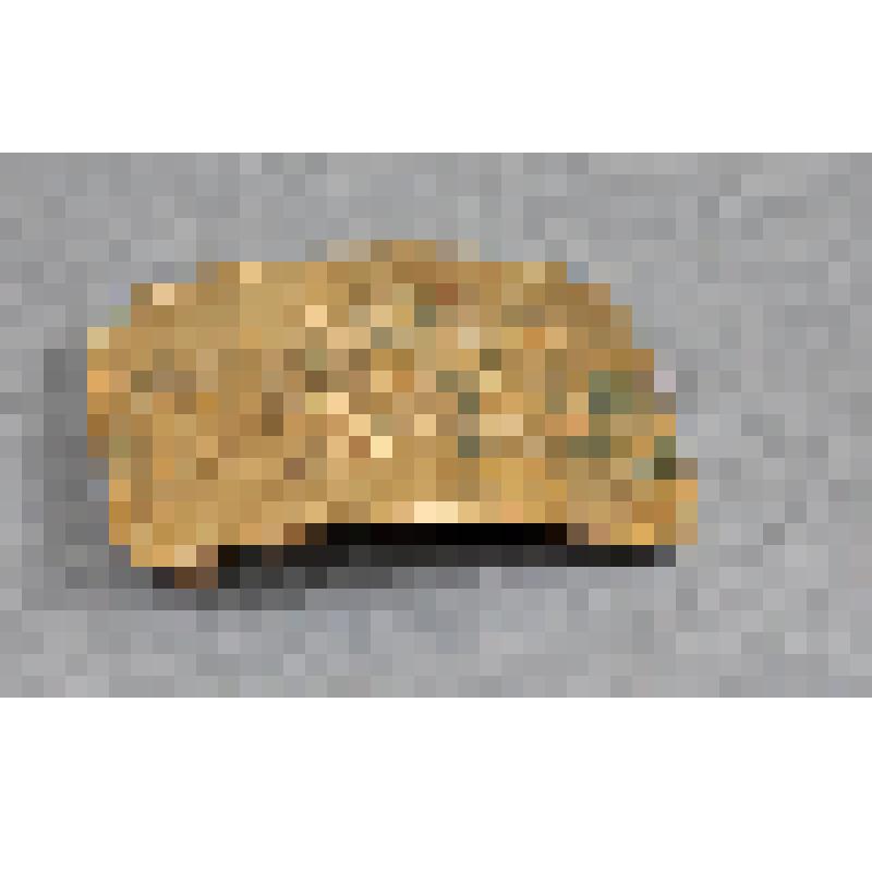 Пряжка служащего Николаевской ж.д