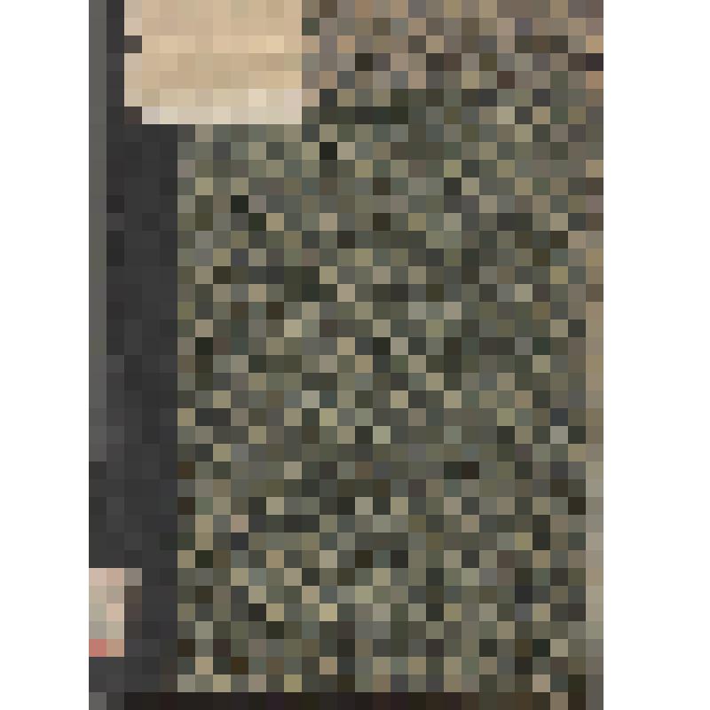 Идеалы и современность в русской литературе. Том пятый. С английского. Перевод В. Батуринского под ред автора. Единственное издание, разрешенное для России автором, пересмотренное  и доп. им. Издание Товарищества "Знание"