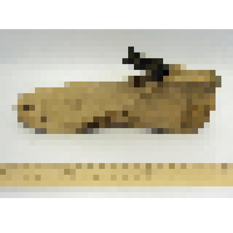 Колодка обувная