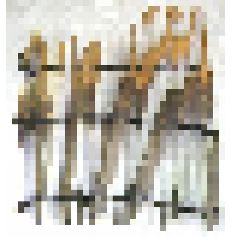 Запор для рыбы