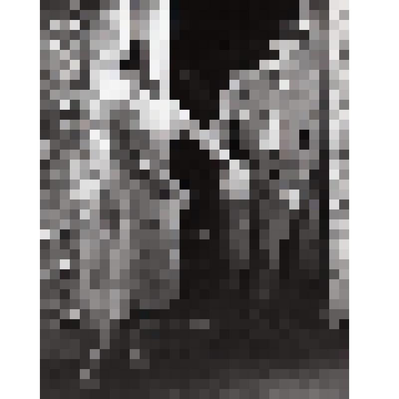 Фотография. Сцена. Верочка - Н. Гребенкина - стоит, рост, чуть влево, голова - 3/4 влево, руки вытянуты влево, ноги перекрещены; Беляев - Д. Епишин - стоит, рост, чуть влево. "Месяц в деревне" (пост. С. Арцибашев, худ. Д. Буланова). Москва, Российский гос