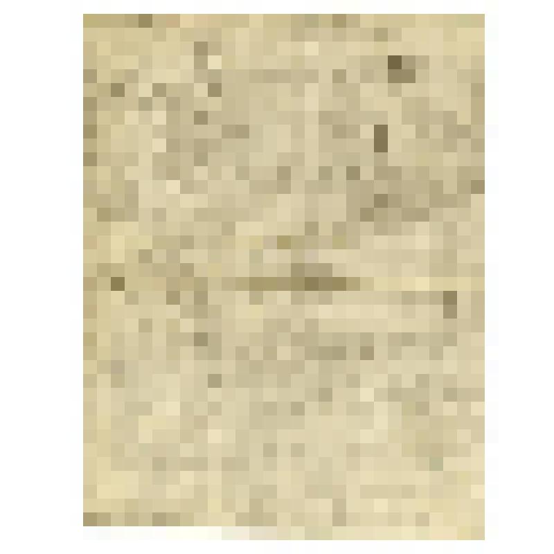 Иконный образец. Пророк Илия в пещере