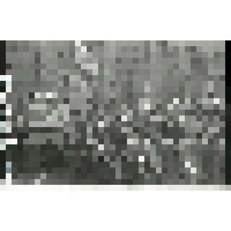 Негатив. Всесоюзный слет молодых рабочих на ЧТЗ