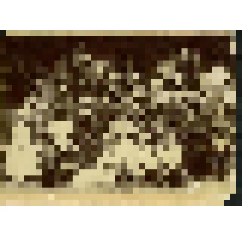 Фотопортрет групповой. Император Александр III  и императрица Мария Федоровна в окружении членов императорской фамилии