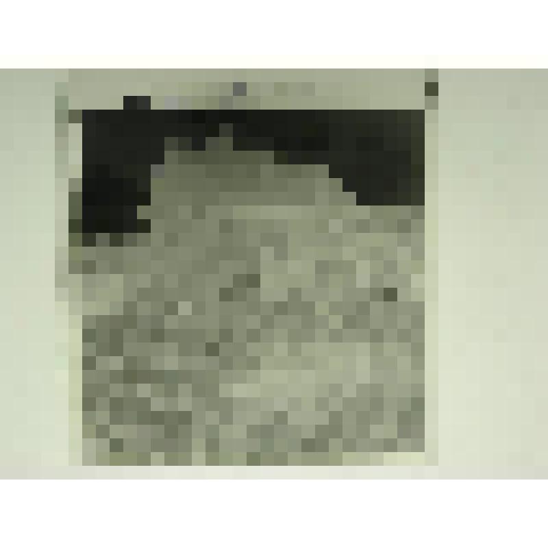 Дом Воронина. Ул. Привокзальная, 1. втор.пол. XIX в. Челябинская  обл., г. Карабаш, пос. Южный (с.Саймоновское). Дом Воронина. Ул. Привокзальная, 1. втор.пол. XIX в. Баня. Общий вид