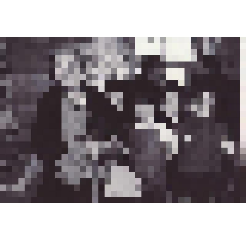 Фотография черно-белая. Пожони (дев.Карнаухова) Мария Павловна на открытии Музея истории политической ссылки рядом с детьми