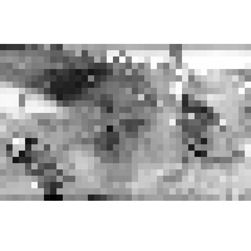 Серия фотографий с авторской фотовыставки "Мой взгляд". Фото цв. Мотокросс. Борьба на дистанции