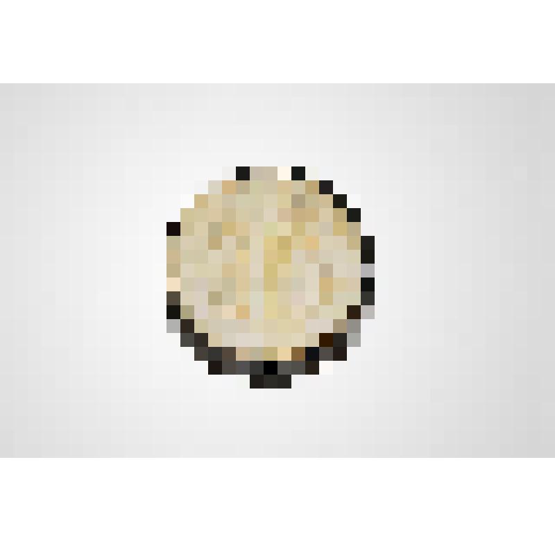 Черепаховая табакерка с резным рельефом слоновой кости "Нищая с ребенком, просящая милостыню у пастора"