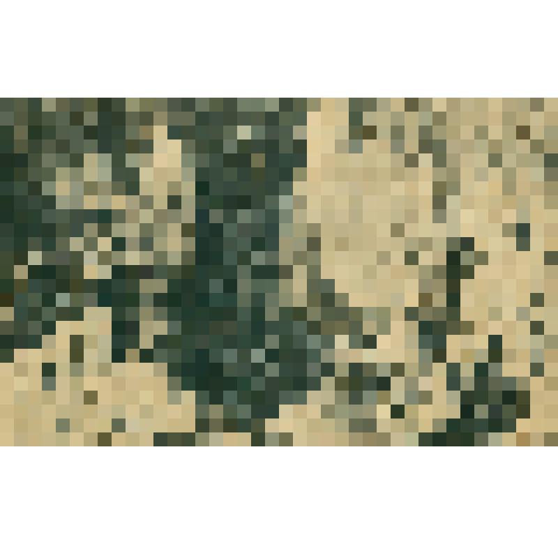 Открытка. Прииск Урочище кок-Джаиляк близ прииска К. Бобровка