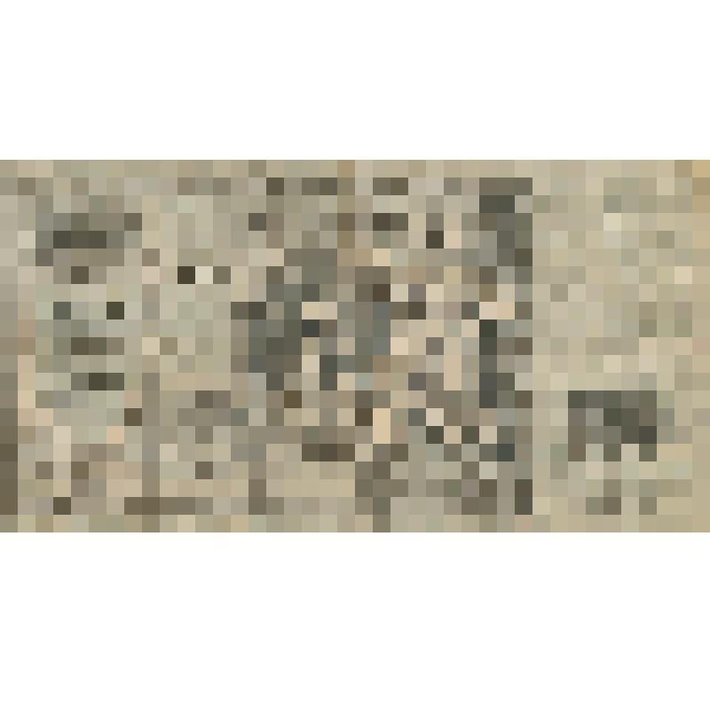 Знак денежный. Россия. Ростов-на-Дону. 100 рублей 1918 г