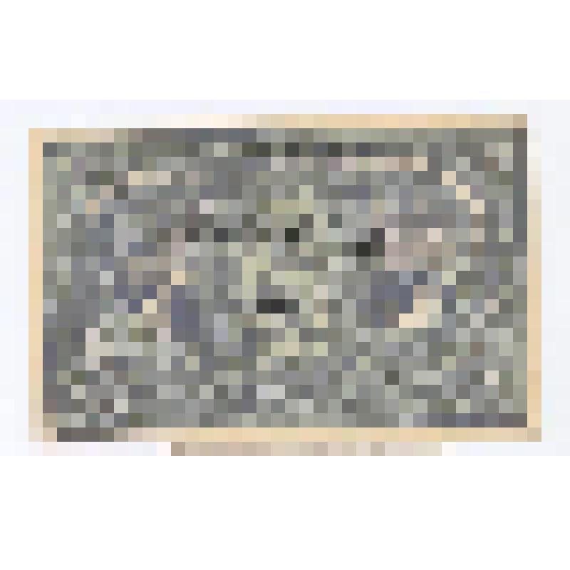 Чек на 25 рублей