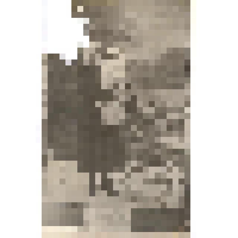 Фотография ч/б. Молодая женщина с ребенком на руках и детской коляской