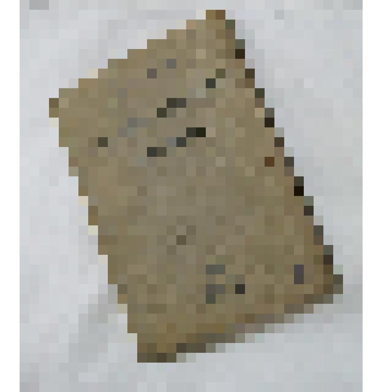 Книга. Орфографический словарь. 4-е издание – М.: Учпедгиз, 1937, из коллекции бытовых вещей семьи Орловой Калерии Николаевны, бывшей заведующей лабораторией Саратовского областного туберкулезного диспансера