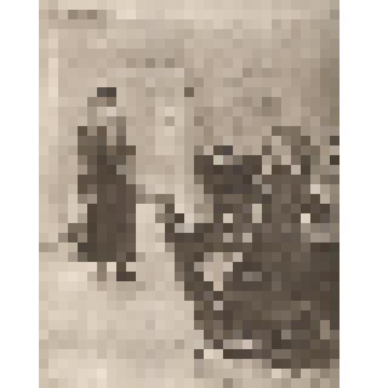 Сборник репродукций "Русская природа и русская жизнь в картинах русских художников". Выпуск VIII. Издание Ю.И.Лепковского. И.Е.Репин Нежданная