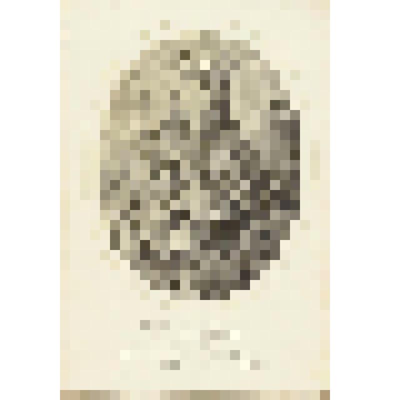 Ян I Ольбрахт (Иоанн Альбрехт) - король польский, фонд западноевропейского  гравированного портрета