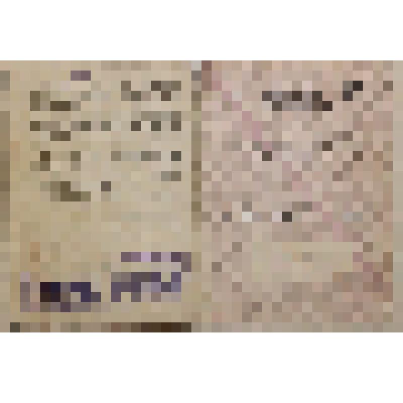 Пригородный билет. Воротникова И.Л А №453621