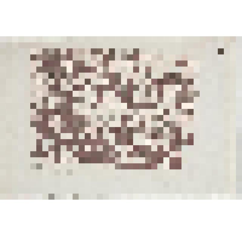 Мир в Потертхилл, гравюра