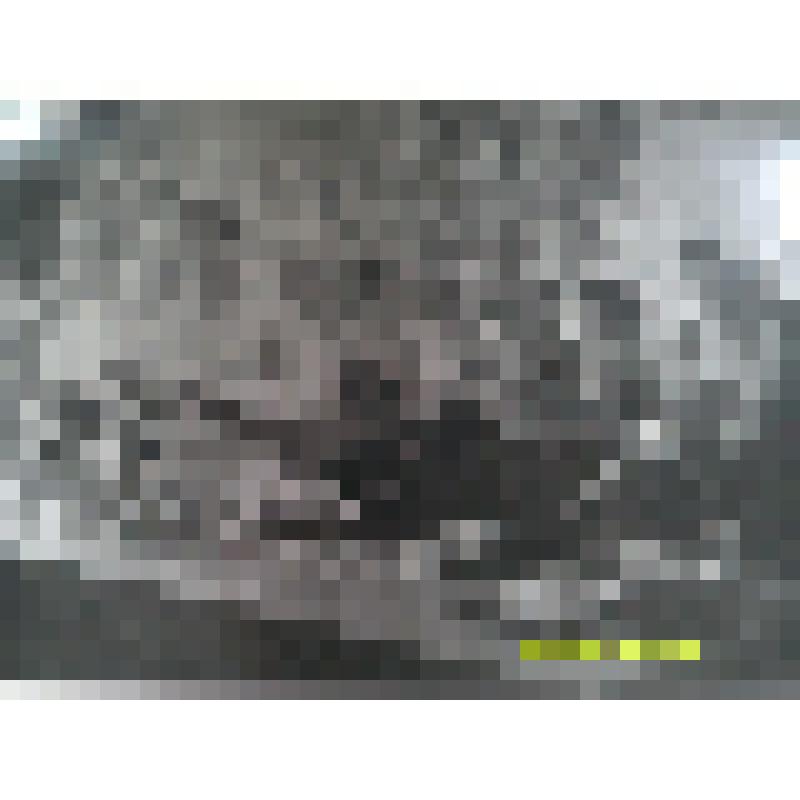 ФотоПразднование  Дня работников животноводства в Инжавинском р-не