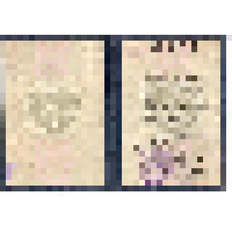 Документ. Диплом Э № 441143 с приложением (выпиской из зачетной ведомости) Соколова Георгия Антоновича об окончании Тюменского сельскохозяйственного института по специальности "агроном". Г. Тюмень. 1972 г., февраль, 29