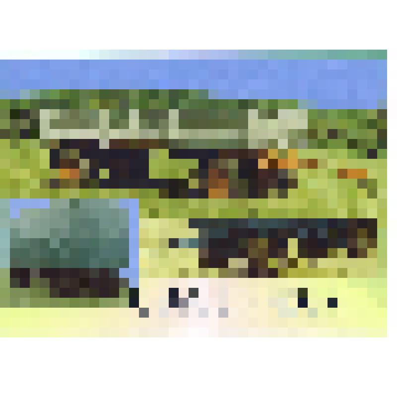 Лист рекламный. «Прицеп СЗАП – 8357». Продукция ОАО «Автоприцеп-КамАЗ»